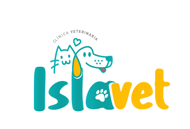 Islavet